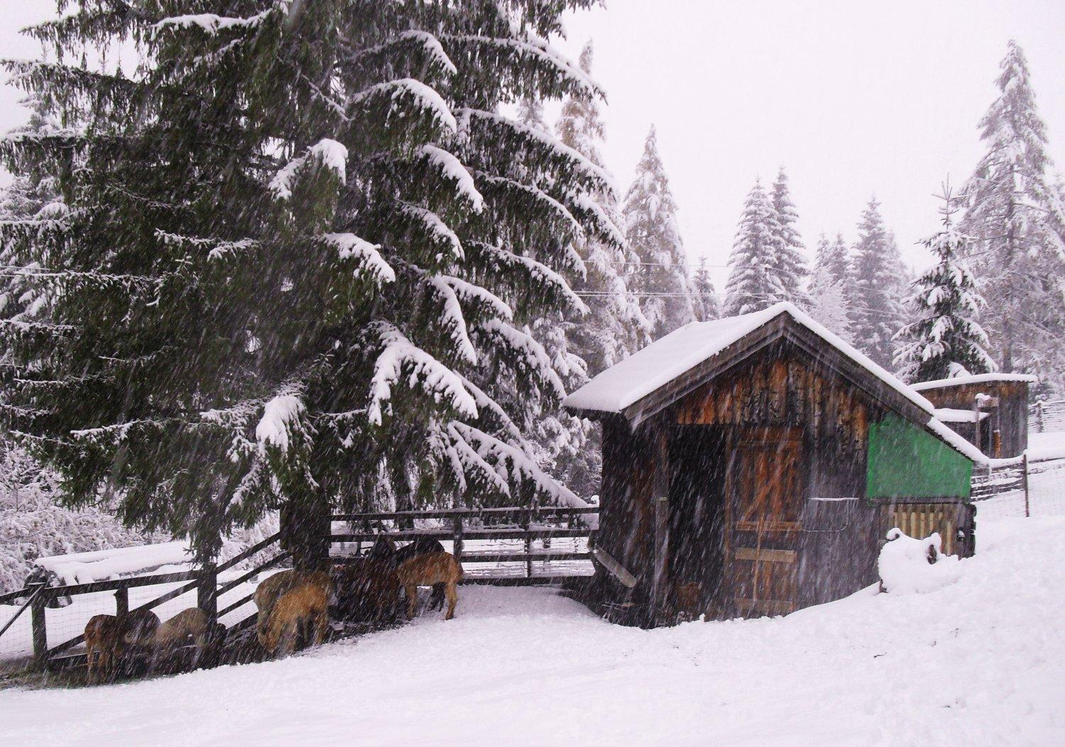 Gaestehaus Panorama Biberwier Exterior foto